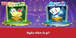 Ngầu Hầm là gì?