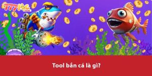 Tool bắn cá là gì?