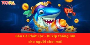 Bắn Cá Phát Lộc - Bí kíp thắng lớn cho người chơi mới