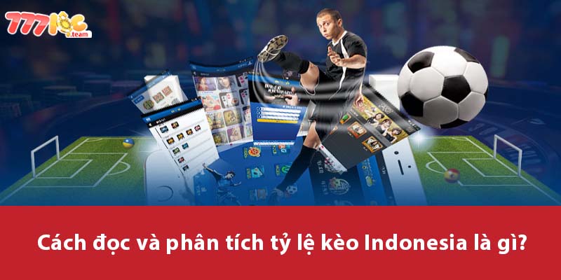 Cách đọc và phân tích tỷ lệ kèo Indonesia là gì?