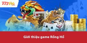 Giới thiệu game Rồng Hổ