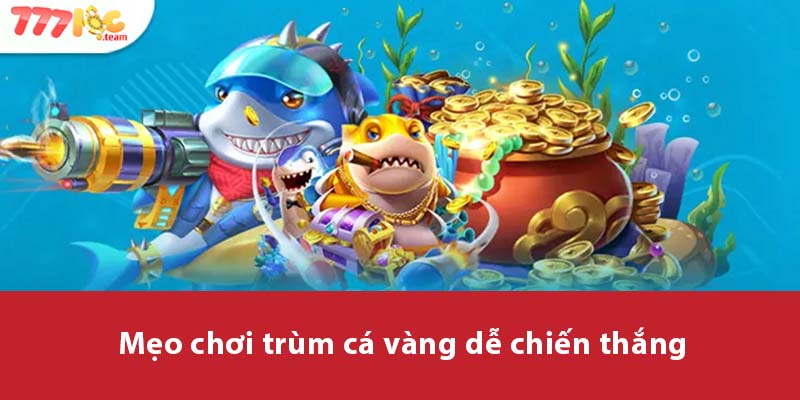 Mẹo chơi Trùm Cá Vàng dễ chiến thắng